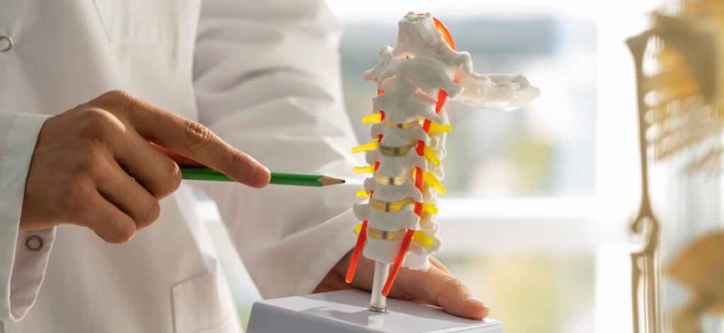 Spinal Health and Well-being: Strategies for Preventing and Managing Back Pain and Spinal Conditions