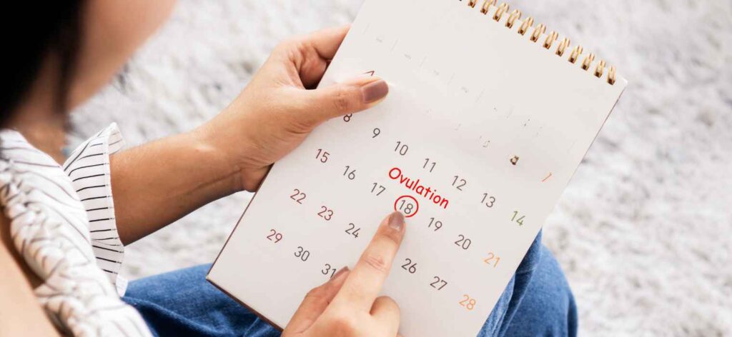 Is a Missing Period a Sign of Infertility? The Link Between Ovulation & Your Cycle