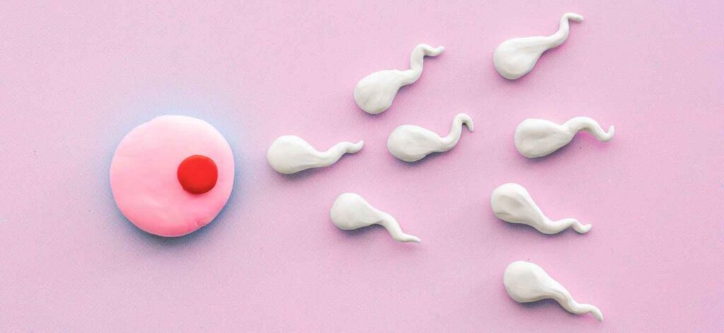 Necrozoospermia : The Rare Male Fertility Condition